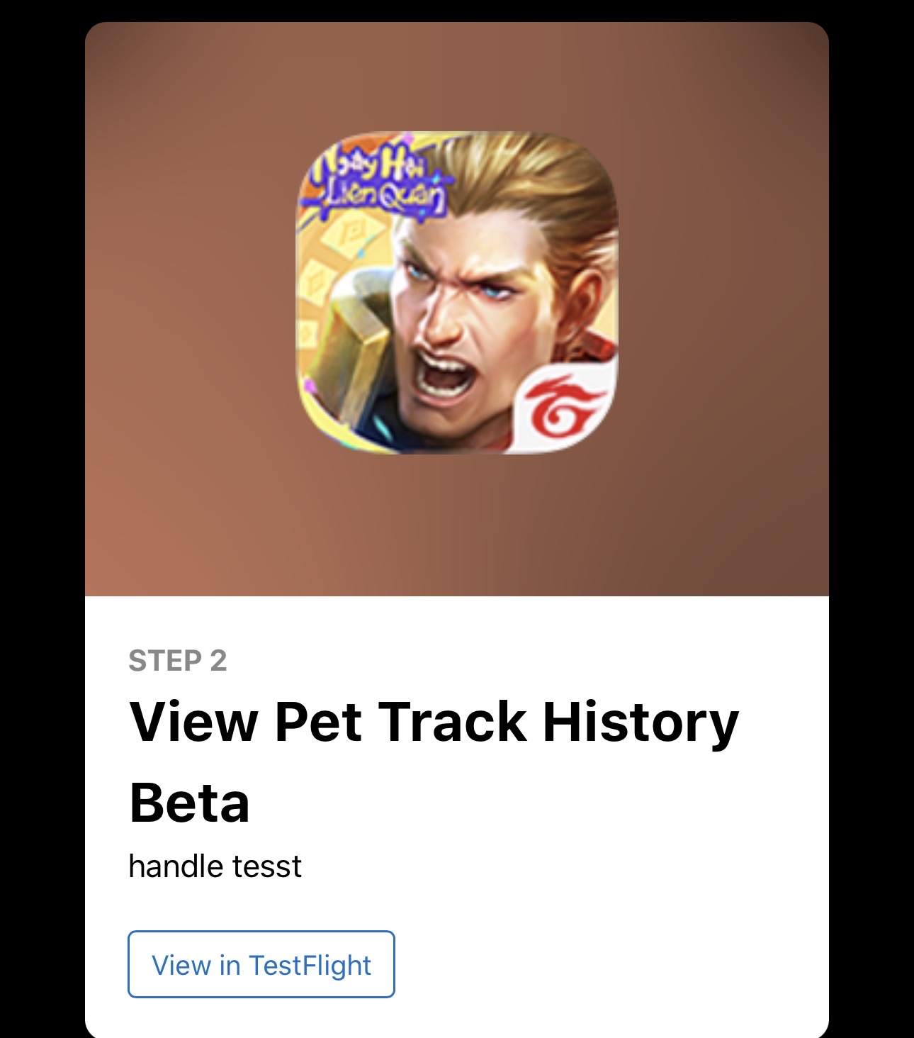 LINK TESTFLIGHT